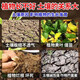 Loosening essence soil activator to loosen and improve soil compaction, no deep plowing, black water fertilizer, plowing and loosening tool, 1 bag 500g