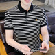 Polos de Hailan Polo a rayas Polo de manga corta para hombres Camisa de seda de hielo delgada de estilo coreano Camisa bordada casual 6626 Caki L (105120Jin [Jin equivale a 0.5 kg])