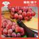 Jingxiansheng Queen Nina Grape Super Seedless Red Lift 1Jin[Jin equals 0.5 kg] Pack Fresh Fruit