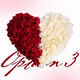 Simulated rose petals wedding hand sprinkled wedding wedding room ktv bar confession proposal Valentine's Day decoration wine red approx [1999 pieces]