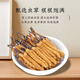 Cordyceps Dried Goods Authentic Cordyceps Gift Box Cordyceps Wangxiong Fengdao Nourishing and Healthy Cordyceps Three Roots One Gram 100 Roots Boxed