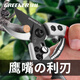 Green Forest Japan imported SK5 steel fruit tree gardening pruning shears, special scissors for cutting branches, flower shears, floral branch scissors, professional style SK5 steel + waist box_maintenance oil_elastic