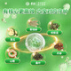 Jingshuo Qingqian Liu Danshen Murata Leaf Double Melon Tea Gypsum Blue Corn Scarf Bruce Melon Buckwheat Health Tea Gift Box for Parents and Elders