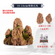Absorbent stone on water stone natural raw stone fish pond fish tank bonsai micro landscape green plant landscaping decorative ornaments rockery stone 10-14cm absorbent stone without pot free grass seeds with stone