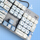 罗技（Logitech）K845机械键盘背光有线键盘 游戏电竞键盘 茶青红轴键盘DIY键帽 办公游戏键鼠套装 全尺寸104键盘 K845-冰淇淋小熊键帽 青轴