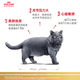 Royal Cat Food 10kg British Shorthair Cat Food Adult Cat Food Ragdoll American Shorthair Persian Tabby Blue Cat Special Full Price Cat Food General Food BS34 British Shorthair Adult Cat Food 2kg