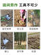 园艺工具小铲子家农用种花养花户外铲土铁锹耙子锄头除草小型手锄 3519-红把手锄16分
