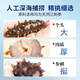 Xiaobing Sea Cucumber Fresh Ready-to-Eat Sea Cucumber Fresh Sea Cucumber Official Store Flagship Store Sea Cucumber Nutritional Gifts for Elders 1 Jin Jin equals 0.5 kg (taste pack) 7-9 pieces/Jin Jin equals 0.5 kg