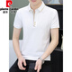 Pierre Cardin Polo camiseta para hombres Camiseta de manga corta Summer Summer Brand Business Collar Collar Top Camiseta de media manga de hombres