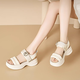 Dadong (Dusto) Dadong Sports Sandals Chaussures féminines 2024 Été Nouveau style décontracté High Heel Flat Velcro Open ToEd Chaussures 5022 Beige 38