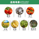 Huayi Feiling 40% Ethephon Walnut Banana Persimmon Tomato Rice Ripening Agent Pesticide Plant Growth Regulator 350g (2 bottles)
