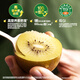 Zespri New Zealand Sunshine Golden Kiwi Fruit 10 Gift Box Giant Fruit Single Fruit Approximately 144-175g Fruit Kiwi