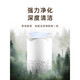 Xiaomi Pot Ber Luftreiniger Staub und Geruchsentfernung Haushalt Formaldehyd Desktop Kleines Deodorant Rauchgeruch Pet Cat Hair Negative Ionreiniger 3879 Verbessertes Modell [100 m Großflächenreinigung und Entfernung von Formaldehyd