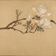 The Maple Mingwen Zhengming understands the magnolia scroll flower and bird paintings micro-spray antique replicas New Chinese style decorative painting scroll hanging paintings Ming Xuwei crab fish pictures 29X87 cm 13562 Special rice paper (sprayed) micro-sprayed painting heart one piece of paper (sprayed not mounted)