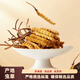 Новая сушящая подарочная подарочная коробка Cordyceps от Kangsil Authentic Dired Cordycess, чтобы подарить подарки для питания и питания качества отбора Cordyceps для старейшин Tibet Nagqu Cordyceps около 3 корней/грамм 40 корней (подарочная коробка)