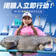 沃鼎王者神剑三代钓鱼竿碳纤维超轻鲫鱼竿大物竿鱼杆台钓竿5.4米 5.5H