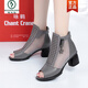Woodpecker 2025 Été Nouveau talon haut talon Boots Fish Mouth Sandales Générette en cuir épais Talon Femme Creux Bottes courtes Mesh Chaussures pour femmes