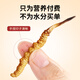 同芙 冬虫夏草3根/g 5g 15根礼盒装 滋补营养补品送长辈礼品礼物