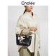 CNOLES【新品】菱格手提包包女式2025新款感百搭单肩斜挎包包女 赫本黑