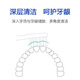幸浩适配欧乐比电动牙刷头D12013替换敏感护龈缓震清洁呵护通用全效亮白软头软毛标准声波2支4支6支8支 2支 日常清洁款