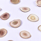 
Deer antler slices Changbaishan deer antler pruning slices Deer antler slices Dry slices for men soaking wine and making soup Deer antler slices 3g