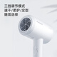 飞科护发电吹风机家用速干便携学生宿舍低噪音冷热风大功率吹风筒/FH6296/6290/PH1628 负离子爆款+时尚锤子设计【白】