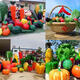 OTHER Large glass fiber reinforced plastic stainless steel simulation fruit and vegetable national unity pomegranate spirit sculpture ornaments custom manufacturer drawing customization deposit