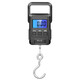 Portable electronic scale, portable scale, spring scale, fishing scale, luggage scale, small electronic scale, portable scale, gram scale, weighing vegetable, express crane scale, large handle, portable scale, range 50KG/accuracy 0.01kg (battery model)
