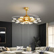 Opp (OPPLE) 2025 new lighting is suitable for invisible light luxury gold electric fan light ceiling fan light household living room bedroom dining 1047 gold-42 inch-remote control