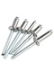 Guwanji Guwanji 304 Core en acier inoxydable Puriage Rivet Tirling Rivet Round Head Tiling Nails Slurry Head Tiling Nails Heart Tiling Decoration Nails Willow Nails 304 Contource