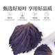 贡苑紫苏叶200g 紫苏叶茶干紫苏原材料紫苏籽泡茶 去腥伴侣袋泡装