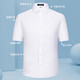 Colaire à manches courtes en coton pour hommes Yager en été Nouveau format commercial de banlieue d'âge moyen Couleur Couleur sans fer purpre-stripe-6624 SHORT 38 100-120JIN [Jin est égal à 0,5 kg]