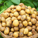 Jingxiansheng Enshi small potatoes net weight 4.5Jin Jin equals 0.5kg Single fruit 30-100g Fresh yellow potatoes Straight from the source of potatoes