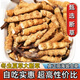 正品虫草冬虫夏草大断草高海拔断虫草2025头茬新自用大号断虫草 那曲高海拔断虫草20克装