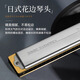 Tongbao Japan Tombo Tongbao 6624S harmonica 24-trous polyphonique c Tune Adult Professional Performance Niveau D Tune