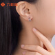 Liuguifu Jewelry Platinum Earrings Women's Geometric PT950 Earrings Birthday Gift About 2.95g