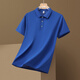 Pierre Cardin Kurzärärmig T-Shirt Herren 2025 Sommer New Ice Seide Polo Kragen Geschäfte Casual Solid Color Halbärztes Hemd Vatertagsgeschenk JS-677 White 4xl