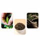 
First Banquet Tea 2025 New Tea Phoenix Dansong Duck Shit Fragrant Oolong Tea Chaozhou Phoenix Dansong Drink 500g by yourself