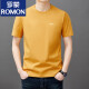 罗蒙（ROMON）男士短袖t恤夏季新款潮流棉简约圆领上衣休闲凉感体恤衫男T YS9929蓝色【带标】 均码 105【90-110斤】