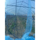 Greenhouse plastic film, non-drip film, agricultural greenhouse film, PO film, vegetable planting, anti-fog, high light transmittance, anti-aging, longevity film, blue film 12S imported longevity film, extra thick, 5m wide, how many meters long, take a few pieces, send the whole picture