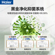 Haier refrigerator 251 liters three-door first-class energy efficiency dual frequency conversion energy-saving air-cooled frost-free black gold purification-30 cryogenic quick-freezing household thin refrigerator Leader series 251 liters丨one-class frequency conversion frost-free丨black gold purification丨full variable temperature zone