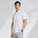 Chemise du PDG du printemps et du coton d'été pour hommes, un repassage gratuit en coton et pas facile à plisser de la chemise à manches à manches courtes de chemise professionnelle classique décontractée blanc 39