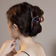 Xiangwan Hairpin High-end Simple Hairpin Back Head Shark Clip Acrylic Grabbing Clip Women's Large Hair Accessories Birthday Gift
