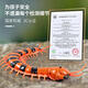 Chisen Children's Decompression Artifact Toy Simulation Remote Control Centipede Snake Little Boy Girl 5 Internet Celebrity Douyin Black Technology Animal 2 Classic Version - Remote Control Ladybug Red Model 9922+ Screws Official Standard