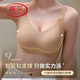 浪莎（LangSha）无痕内衣女小胸聚拢无钢圈防下垂收副乳调整型舒适透气文胸罩 浅紫色+松石绿(2件装更实惠) L 建议106-120斤