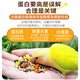 Kaiyuan full price parrot special food small sun bird food feed Xuanfeng monk food nut seeds peony bird food 650.2g small sun nutritional special food