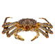 Jingcai Tianyuan Fresh Quick Frozen King Crab 4.5-4.9 Jin Jin is equal to 0.5 kg Russian Big Crab Fresh Seafood Dinner and Gift Delivery Directly from the Source