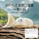 House of Swallows [Geschenk] [5 Sterne] getrocknetes Vogelnest Indonesian Raw Essentials 100G Geschenkgeschenk Geschenk