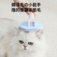 Cat comb, dog pet combing, special hair removal comb, floating hair cleaning long hair artifact, M8 upgraded needle comb, green fruit color, universal for cats and dogs