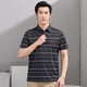 Hongdu Summer New Men's Short-Sleeve T-Shirt Business Casual Lapel Book Style Striped Slightly Bounced Middle-aged Half-Sleeve T-Shirt Coffee Ta9226-2 One Size 180/96A